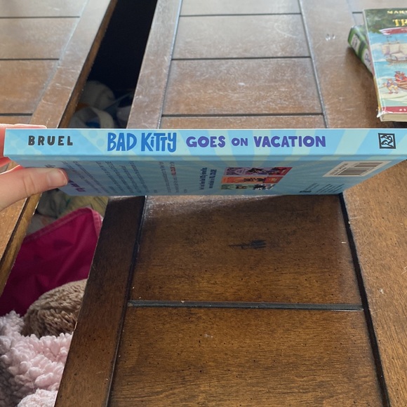 Bad kitty goes on vacation - Picture 2 of 3